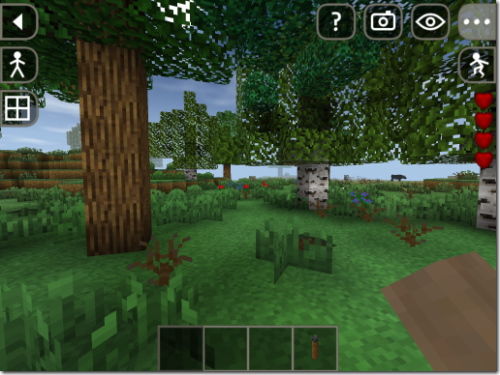 survivalcraft220