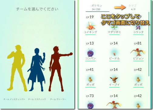 Pokemon GO ポケモンGO 陣営