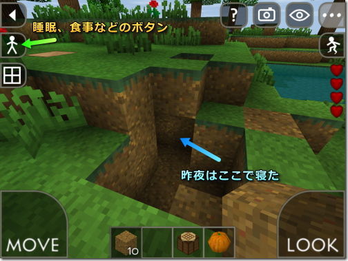 Survivalcraft