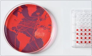 plagueinc