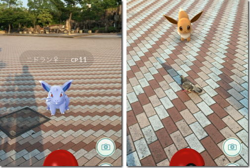 Pokemon GO ポケモンGO 鳥型リアルポケモン