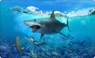 fishingstrike