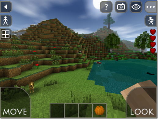 Survivalcraft