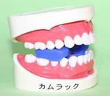 ¥«¥à¥é¥Ã¥¯