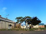 東川駅跡