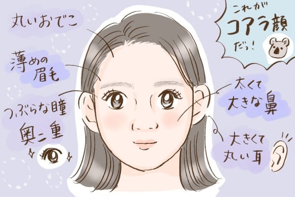 コアラ顔とは 6つの特徴とコアラ顔芸能人 診断付 芸能界の闇 コアラ顔とは 6つの特徴とコアラ顔芸能人 診断付 芸能界の闇