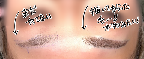 半分眉