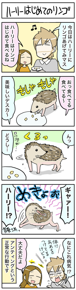 4コマ更新