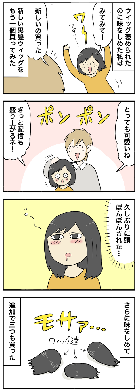 ウィッグ2