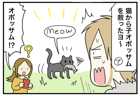 オポッサム