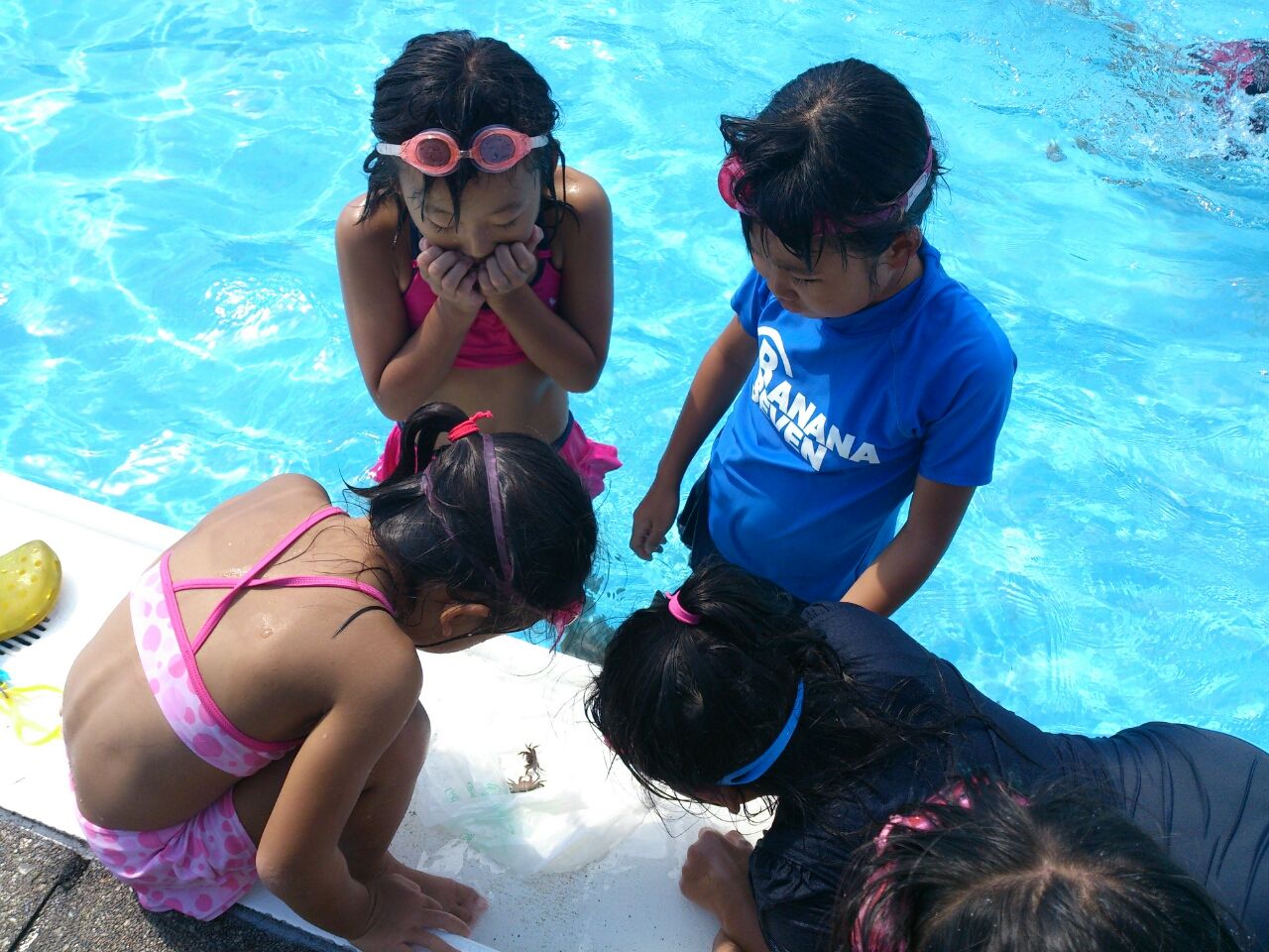 地元プール Juan Diary