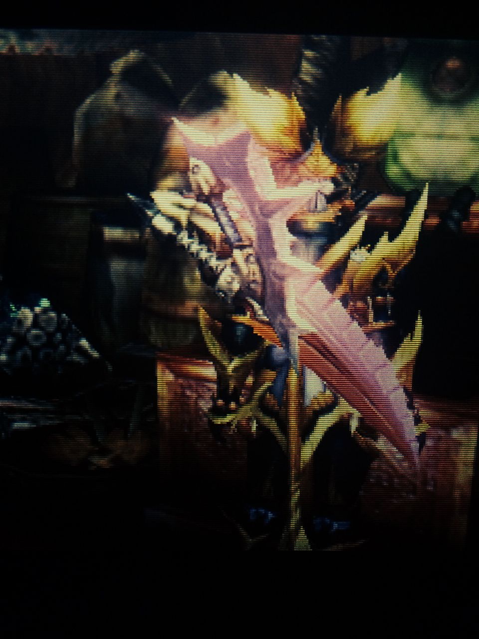 11月25日の発掘双剣 華名ゲーブロ