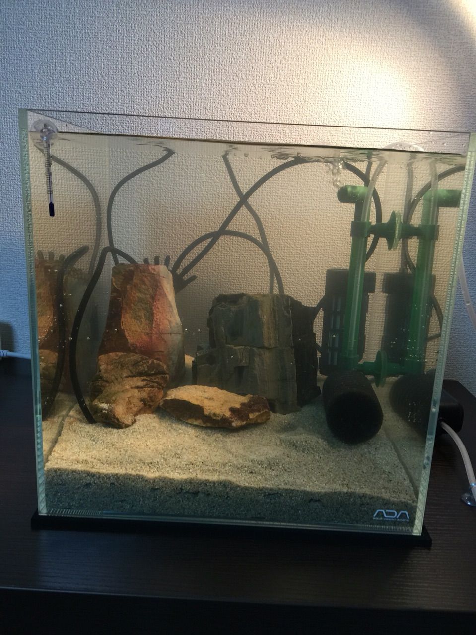 Ada30cmキューブ水槽 レイアウト編 後編 かなメットの熱帯魚な日々