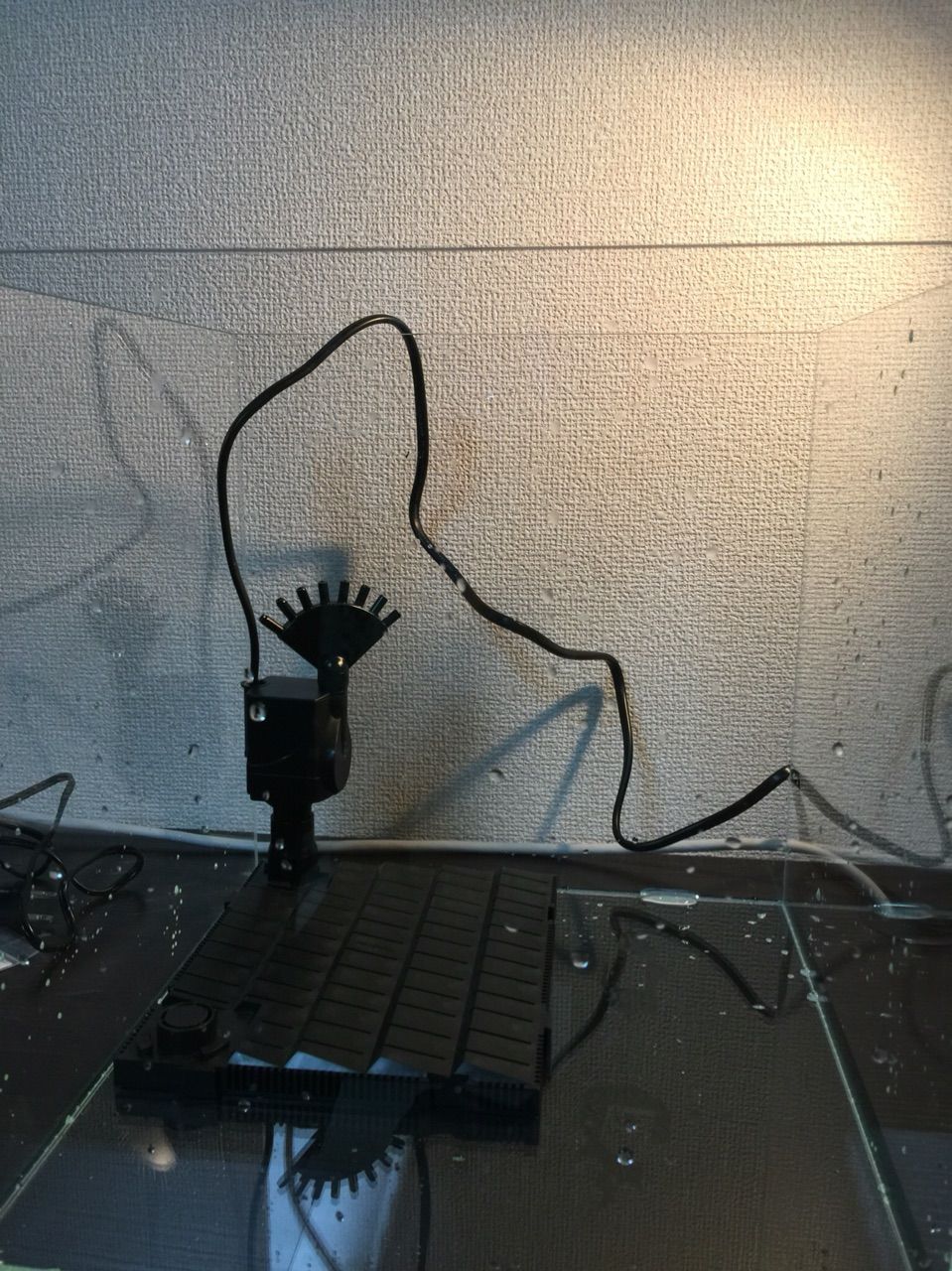 Ada30cmキューブ水槽 レイアウト編 後編 かなメットの熱帯魚な日々