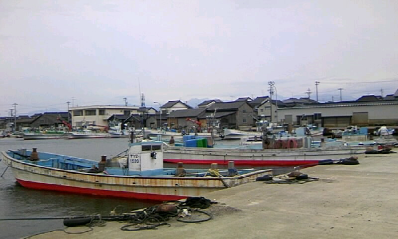 四方漁港周辺のネコ W 秋の富山の旅 １０ やねのうえ 日本の屋根 北陸 甲信越の旅