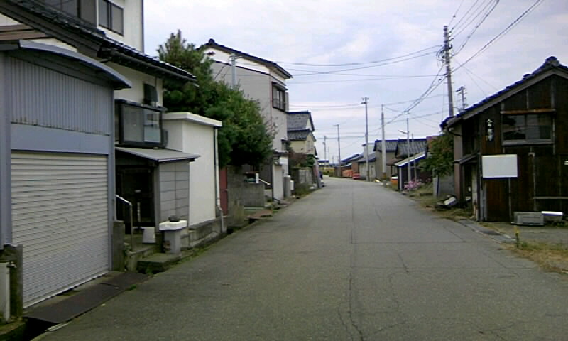 四方漁港周辺のネコ W 秋の富山の旅 １０ やねのうえ 日本の屋根 北陸 甲信越の旅