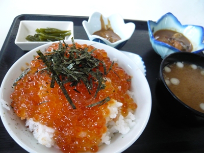 宮城 三陸の穴場 海飯 南三陸町歌津 魚竜館 Oh Takkechiのみちのくさすらいリーマン グルメ ライフ 宮城 三陸の穴場 海飯 南三陸町歌津 魚竜館 Oh Takkechiのみちのくさすらいリーマン グルメ ライフ