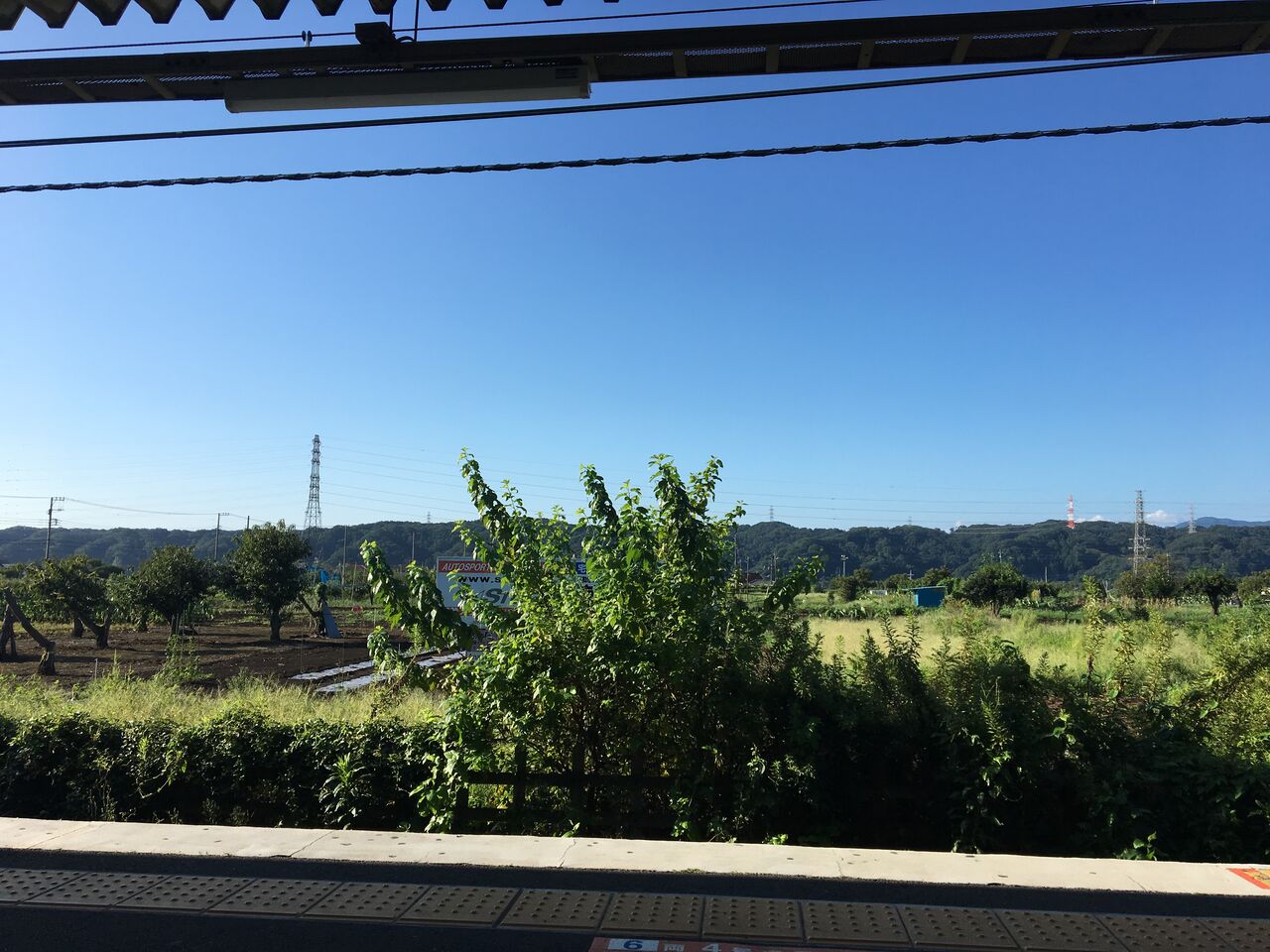 吉川みなみ 雑記ほか