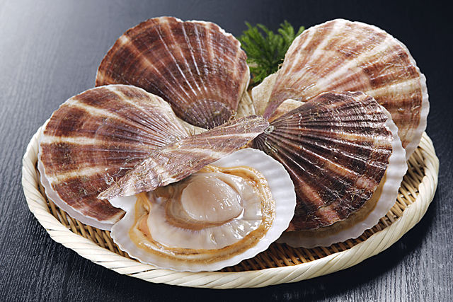 毎月18日はホタテの日 カニのデパート かなはし水産スタッフ日記 毎月18日はホタテの日 カニのデパート かなはし水産スタッフ日記