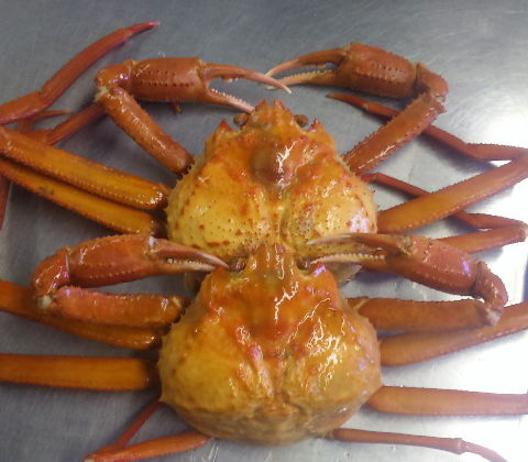 本ズワイ 紅ズワイ カニのデパート かなはし水産スタッフ日記 本ズワイ 紅ズワイ カニのデパート かなはし水産スタッフ日記