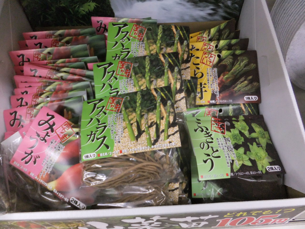 Daisoの種の種類 春蒔き 家庭菜園 小屋作りはじめました