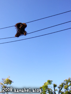 08_11_10 08_11_10