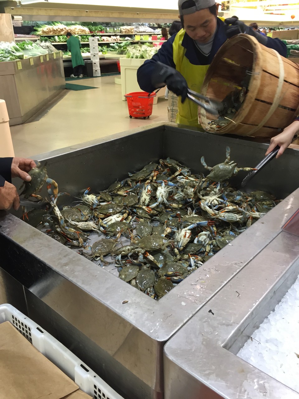 近所の中国系スーパーマーケットに買い物に行きました エビやらカニやらは中華系な感じがします オーストラリア漂流記