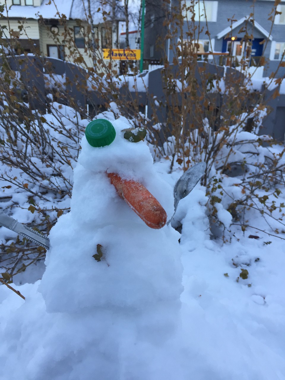 Do You Want Build A Snowman 雪が降ったら やりますよ やればいいんでしょ オーストラリア漂流記