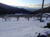 なごり雪