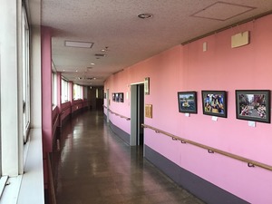 IMG_0402