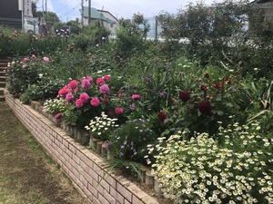 IMG_1764
