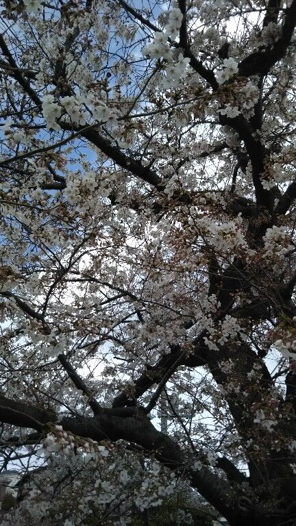 3月30日・2