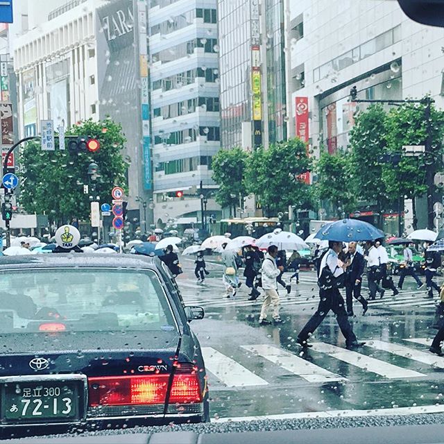 マテラッツィ 長友は最高の選手さ 日本という国が大好きなんだ 5回目の来日を堪能 ガゼッタ蹴球