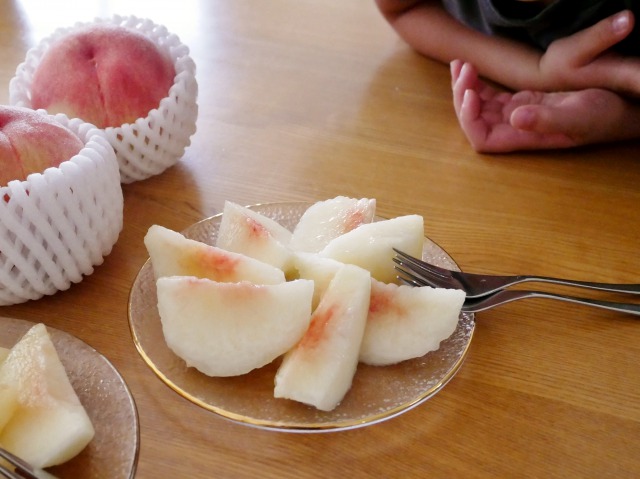 P1100811