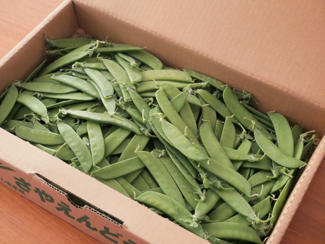 福島県産さやえんどう とゆで玉子のマカロニサラダ Kana Kitchen 福島県産さやえんどう とゆで玉子のマカロニサラダ Kana Kitchen