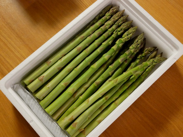 P1090502