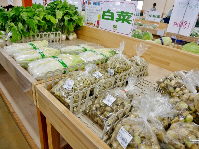 P1050053