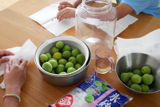 子どもたちの梅シロップ作り ２０２２ Kana Kitchen