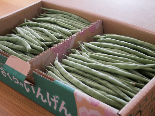 福島県産いんげん で作る自家製ミックスベジタブルと その活用法 Kana Kitchen 福島県産いんげん で作る自家製ミックスベジタブルと その活用法 Kana Kitchen