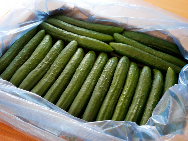P1100395