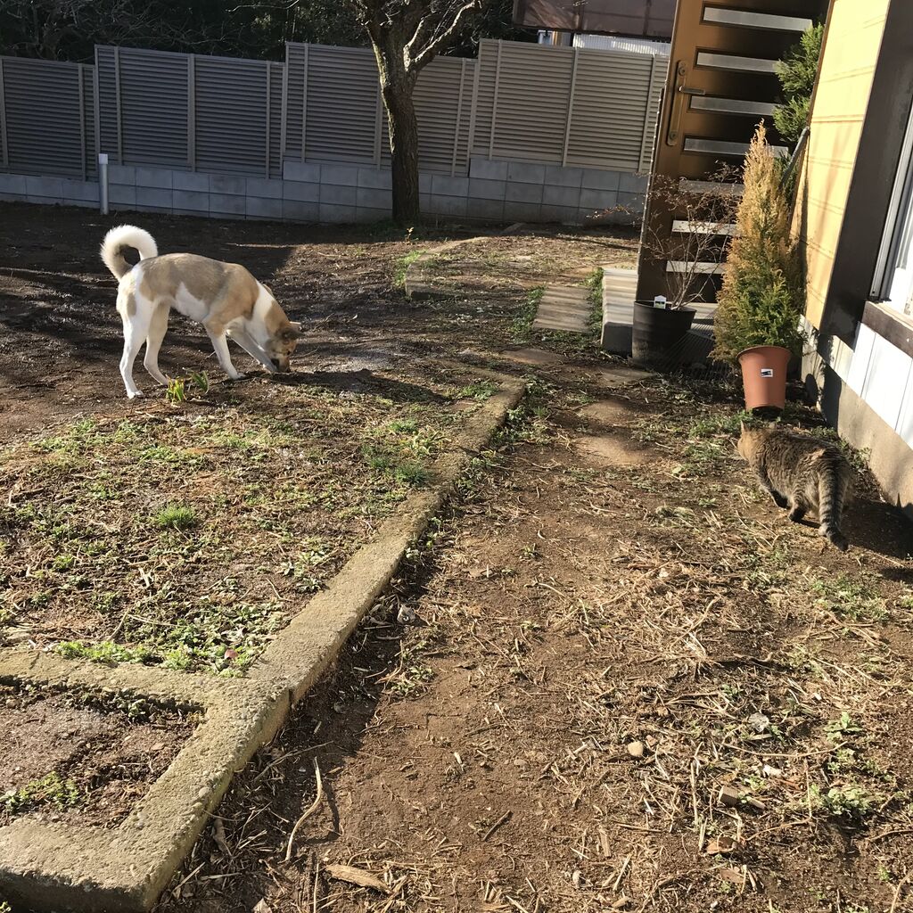 のんびり暮らす Shippo House