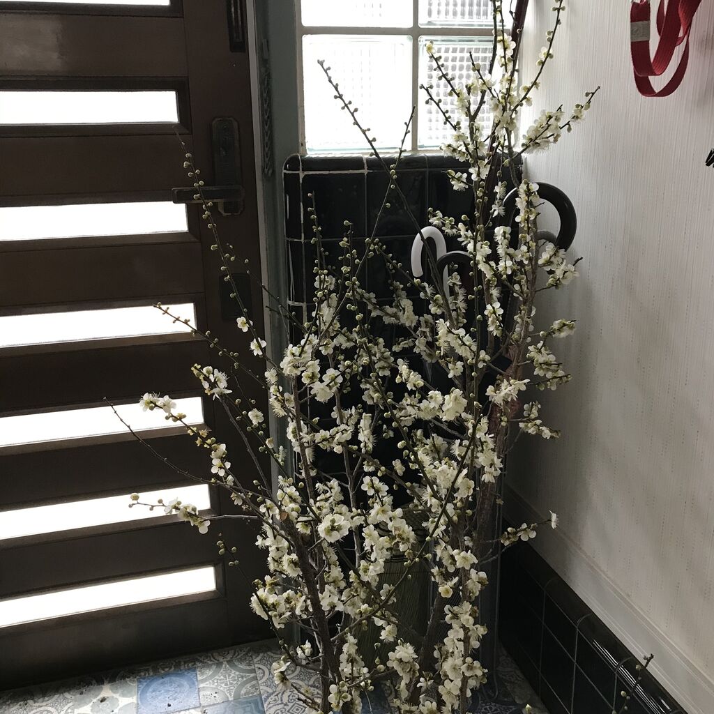 のんびり暮らす Shippo House