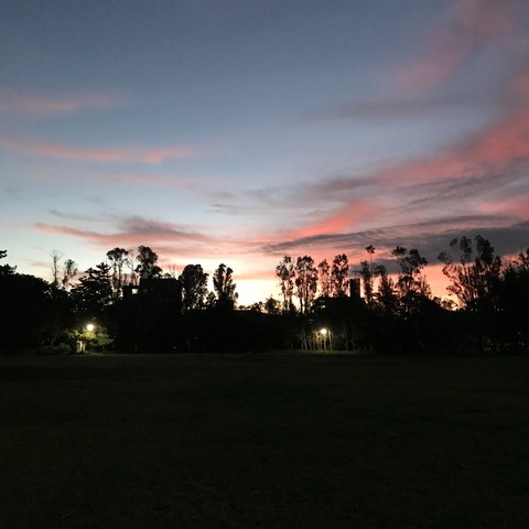 D978F99D-6D30-45D2-A380-78B15BD1C85B