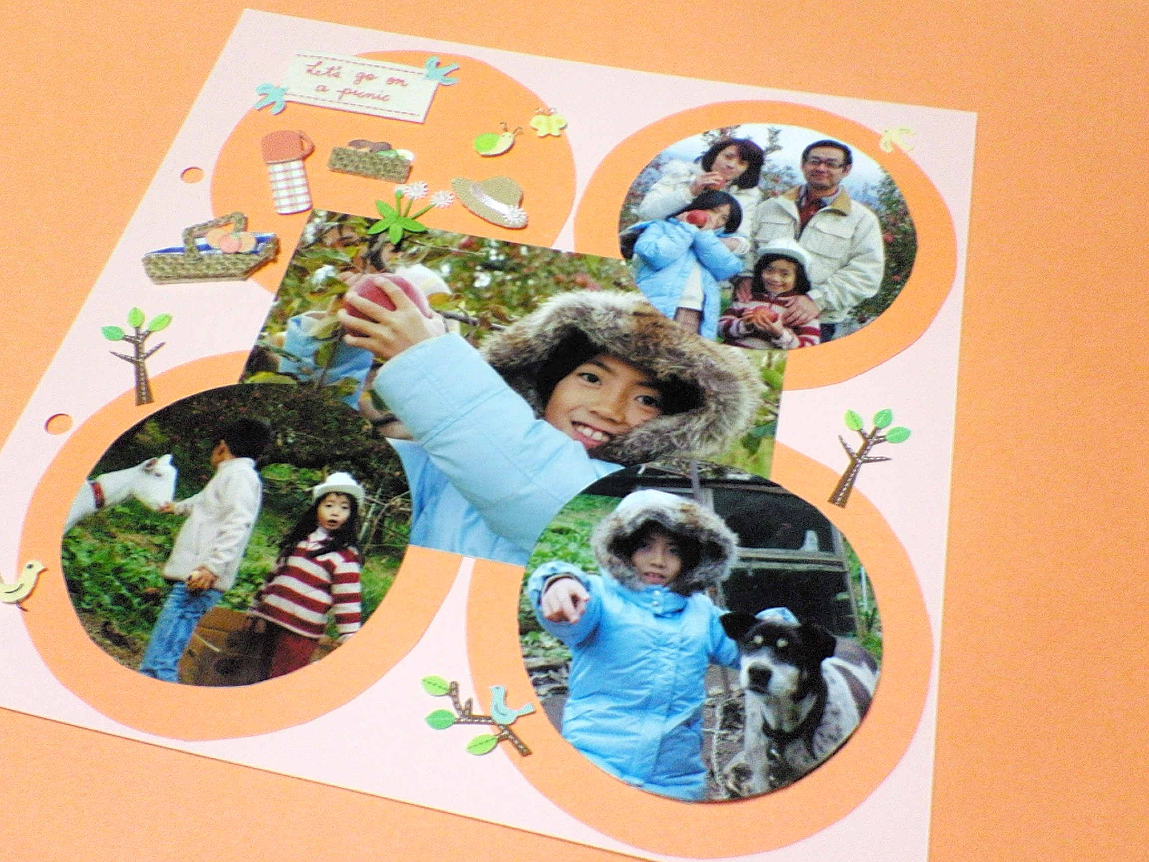 写真でアルバム絵本 スギ カナのゆる犬日記