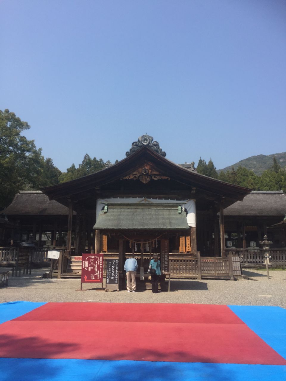 イメージ 7