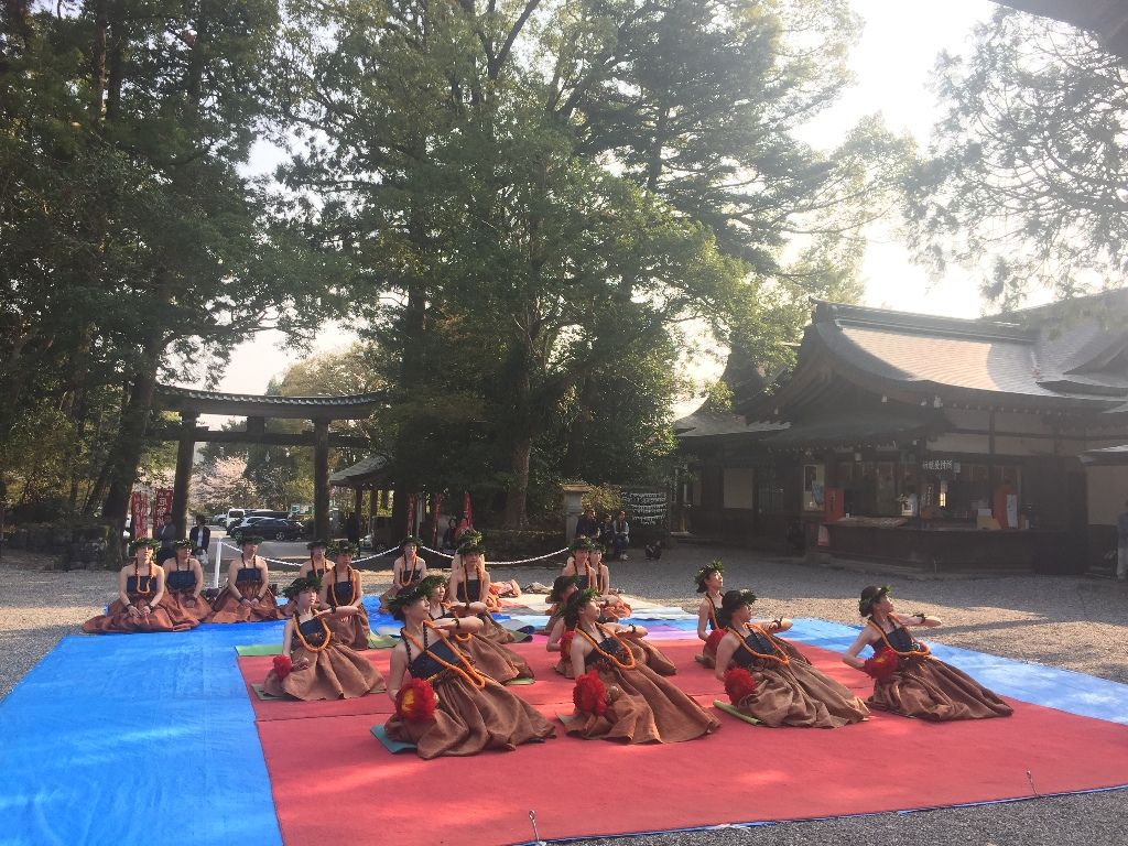 イメージ 15
