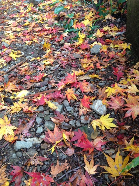 2014-11-30-09-28-18