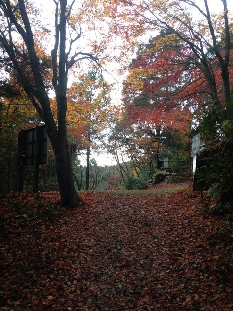 2014-11-30-12-22-00