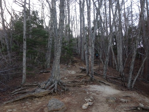 2014-05-04-05-46-36