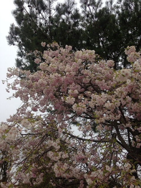 2014-04-20-09-47-36